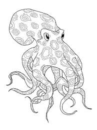 Blue Ringed Octopus Coloring Page From Octopus Category Select From 27538 Printable Crafts Of Cartoo Octopus Coloring Page Octopus Colors Ocean Coloring Pages