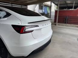 Tesla Model 3 and Model Y Owners Club