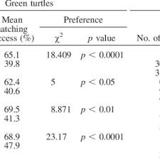 If you hear a bird atop a branch calling in a distinctive voice, who cooks for you, it is probably that primary propagator of. Pdf Nest Site Preference And Hatching Success Of Green Chelonia Mydas And Loggerhead Caretta Caretta Sea Turtles At Akyatan Beach Turkey