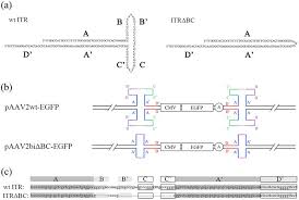 Image result for Black 1996 AAV