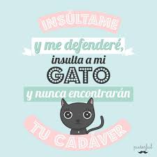 A lo largo de la historia del cristianismo han surgido un sinfín de santos que hoy en día se siguen celebrando. 45 5 Mil Me Gusta 1 961 Comentarios Puterful Puterful Es En Instagram Feliz Dia Internacional Del Gato Diainte Gatos Gatitos Divertidos Humor De Gatos