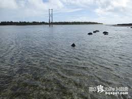 「市橋　オーハ島」の画像検索結果