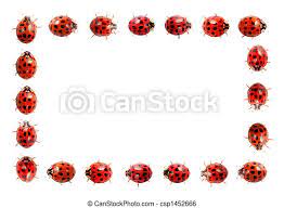 5 out of 5 stars. Ladybug Frame Isolated On White Canstock