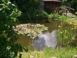 Gartenteich Mit Bachlauf Und Brucke Aquarium Forum Aus Dem Osten Ohne Grenzen Freundlich Oder Gar Nicht