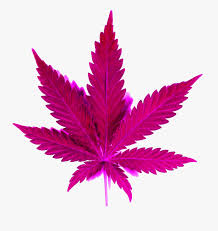 Smoke Clipart Png Tumblr Pink Weed Png Free Transparent Clipart Clipartkey Discover 38 free marijuana plant png images with transparent backgrounds. smoke clipart png tumblr pink weed