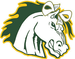 Evergreen Park Stallions