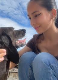 Perritos Callejeros en Cuba (grupo oficial)