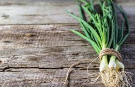 Consumate i cipollotti dopo un paio di mesi. Cipollotto Proprieta E Benefici Cure Naturali It