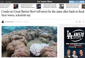 Alarmists U Turn Scientists Confirm Great Barrier Reef Is Recovering From Bleaching Again Climatism I swear my little brother is more mature than the both of you combined! great barrier reef