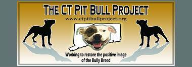 The shelter paperwork states pit bull terrier. Ct Pit Bull Project Home Facebook