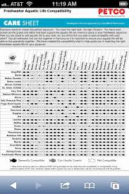 Chart Compatibility Drug Compatibility Chart 2016 Y Site