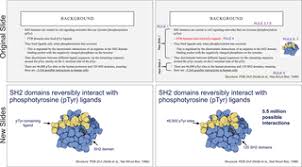 Ten Simple Rules For Effective Presentation Slides Plos Computational Biology