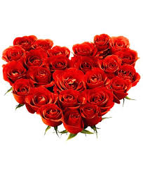 Regala stupende rose e fiori a san valentino cosnegnati a mano in giornata dai nostri fattorini. Consegna Cuore Rose Rosse A Udine Consegna A Domicilio In Giornata