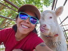 Potter's farm to fork gathering photos