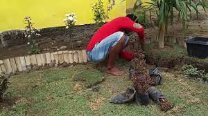 Tentunya, harus disertai bijak berselancar di dunia maya. Belajar Membuat Taman Di Depan Rumah Sendiri Youtube