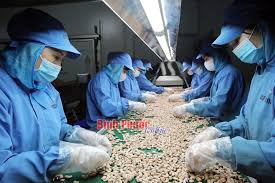 Thu hút lao động tại chỗ - Binh Phuoc, Tin tuc Binh Phuoc, Tin mới tỉnh Bình  Phước