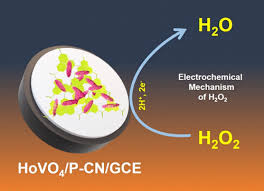 Synergism of Holmium Orthovanadate/Phosphorus-Doped Carbon Nitride  Nanocomposite: Nonenzymatic Electrochemical Detection of Hydrogen Peroxide 