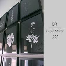 Diy Pressed Botanical Art Pressed Botanical Art Botanical Gallery Wall Pressed Botanicals