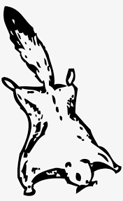 Squirrel clipart black and white. Flying Squirrel Clipart Black And White Flying Squirrel Transparent Png 1422x2250 Free Download On Nicepng