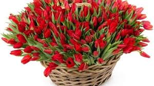 1,891 likes · 43 talking about this. Felicitari De 8 Martie Ponta Si Iohannis Dau Tonul Cu Urari Virtuale Video Mobile