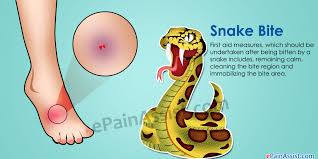 Résultat de recherche d'images pour "copperhead bites"