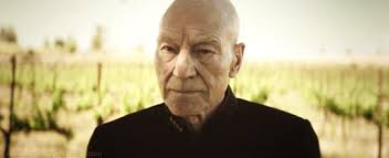 In Hindsight — Shadowhunters