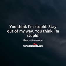 You Think I M Stupid Stay Out Of My Way You Think I M Stupid Idlehearts
