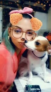 Animales Perdidos en cuba