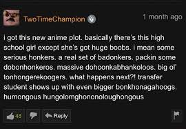 I got this new anime plot. basically there's this high school girl except  she's got huge boobs. i mean some serious honkers. a real set of badonkers.  packin some dobonhonkeros. massive dohoonkabhankoloos.