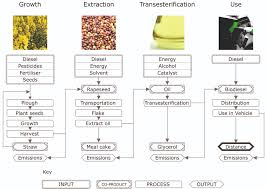 Rapeseed Biodiesel Energy And Communities