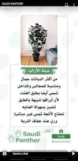 Pin By Hnoreen On Home Managment إدارة المنزل In 2021 Shopping