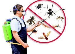 .aaa pest control is a full service, licensed and insured pest control company that has been serving the south florida area for almost 30 years. Bug Busters Do It Yourself