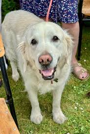 Emmanuel Church Pet Service led by Revd Bruno Boldrini, music by Jason,  Pete & Vicki. Thank you to Tracy for the lovely cake.