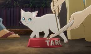 Nuevo Trailer De Nakitai Watashi Wa Neko Wo Kaburu Ramen Para Dos En 2020 Mejores Peliculas De Anime Peliculas De Anime Gato De Sailor Moon