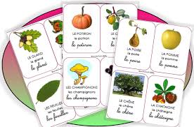 L Automne Imagier Carte Montessori Ecole