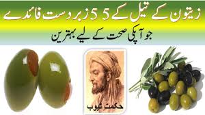 Zaiton Ke Tail Ke Faide Olive Oil Benefits In Urdu Roghan Zaiton Ke Faydeزیتون کے تیل کے فائدے Youtube