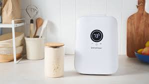 Sourdough Home FAQ: Starter Maintenance Tips and Best Practices