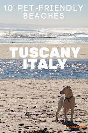10 Pet Friendly Beaches In Tuscany Pet Friendly Beach Dog Friendly Beach Tuscany Travel