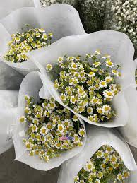 Lokasi strategis di johor bahru. V I S I T J O H O R On Twitter Ni Baru Betul2 Syurga Kedai Bunga Terbesar Dekat Johor Iaitu Dekat Pudu Ria Florist Permas Jaya