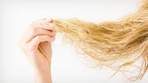 Best shampoo for brittle hair redken all soft shampoo: 7 Dry Brittle Hair Care Tips You Need To Know L Oreal Paris