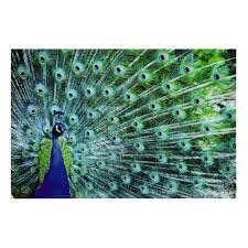 Tableau Paon En Plexi 80 X 120 Cm Sao Joe Maisons Du Monde Peinture De Paon Toile De Paon Paon