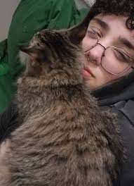 Lost ferret in Killeen, TX area