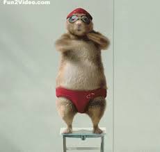 Hip Hop Dance Funny Gif Cute Gif Funny Pictures Funny Animals