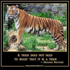 Famous Tiger Quote 1 Picture Quotes Tiger Quotes Picture Quotes Proverbs