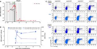 203 likes · 4 talking about this · 1 was here. Frontiers Case Report Management Of A Multidrug Resistant Cmv Strain In A Renal Transplant Recipient By High Dose Cmv Specific Immunoglobulins Modulation In Immunosuppression And Induction Of Cmv Specific Cellular Immunity Immunology