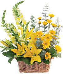 Essential village of oak creek. Lincoln Florist Lincoln Ne Flower Shop Oak Creek Plants Flowers