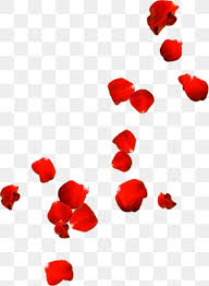 Rose Petals Drift Day Rose Clipart Drift Rose Png Transparent Clipart Image And Psd File For Free Download Rose Clipart Flower Png Images Valentine Day Photo Frame