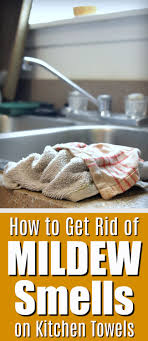 How to get rid of smoke smell and other bad odors. How To Get Rid Of Nasty Mildew Odors On Your Kitchen Dish Towels