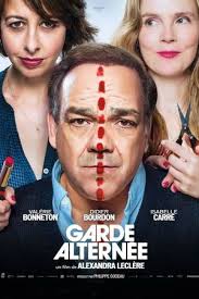 Avis sur le film Garde alternée (2017) par Freddy Klein