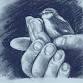 The Four Immeasurables - Keys to Cultivating a... event in Novato, CA
